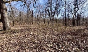 8576 S 4300 Rd, Adair, OK 74330
