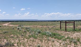 River Meadows Ranch lot 214, Concho, AZ 85924