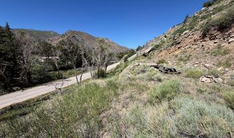 32370 Poudre Canyon Rd, Bellvue, CO 80512