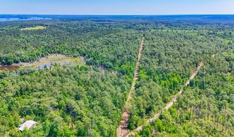 93 Acres Dell Rd, Bainbridge, GA 39819