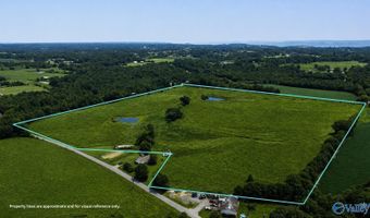 38 Acres Hershell Jones Rd, Arab, AL 35016