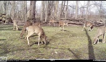 6365 Hayfield Ln, Almont, MI 48003