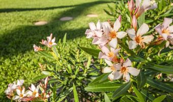 938 S Kihei Rd 301, Kihei, HI 96753