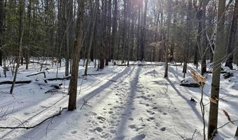Lot 80-1 Currier Road, Candia, NH 03034