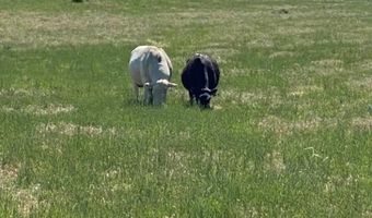 7069 Mainwaring Rd, Billings, MT 59002