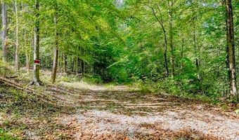 Bolestown Loop Lot 1, Alpine, TN 38543