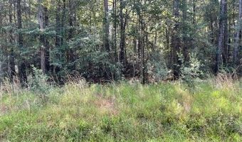 Lot 19 Trap St, Abita Springs, LA 70420