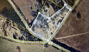 123 Millsaps Ln, Birchwood, TN 37308