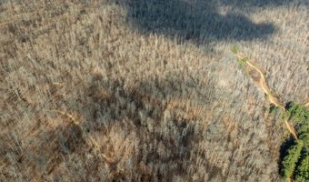 700 Acres Puncheon Creek Ln, Allred, TN 38542