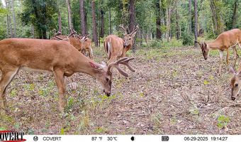221 Ac Crestview Rd, Arlington, GA 39813
