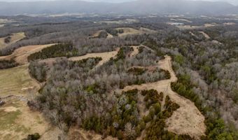 Smithtown Road, Afton, TN 37616