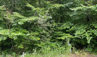 Lot 33 Scenic Drive, Blakeslee, PA 18610