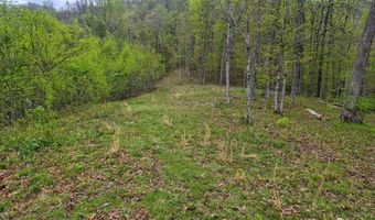 2789 Dry Fork Rd, Bandy, VA 24602