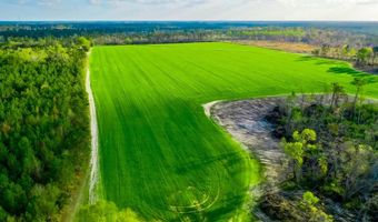 Beaufort Rd. & Warnock Rd, Alma, GA 31510
