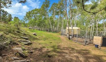 331 Bluebird Ln, Bailey, CO 80421