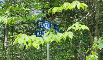 Macey Lane, Alpena, MI 49707