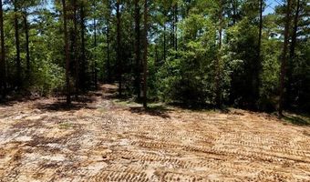 1 97 +/- Acres Airport Rd Lot 4, Andalusia, AL 36421