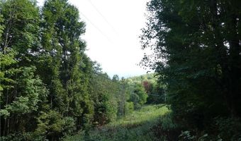 Tbd Old Mountain Road, Banner Elk, NC 28604