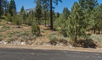 490 Nature's Edge Rd, Gardnerville, NV 89460