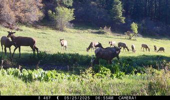 15098 CR 240, Bayfield, CO 81122