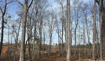 33 Ac Lot A Countryside Dr, Blackstock, SC 29014