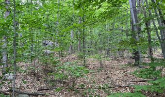 7 Beechwoods At Intervale Dr, Bartlett, NH 03812