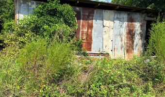 49 Cosby Rd, Ashford, AL 36312