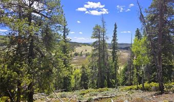 PCS # 10594 Looney Lane lot 0, Alma, CO 80420