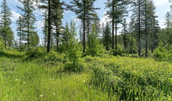453 Chief Cliff Trl, Bigfork, MT 59911
