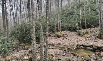 62 Acres Buckeye Ridge Rd, Beech Mountain, NC 28604