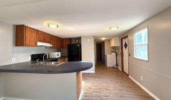 2765 County Line Rd, Andrews, SC 29510