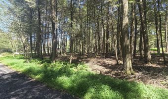 Lakeside Lane, Albrightsville, PA 18210