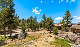1217 Wedgwood Rd, Black Hawk, CO 80422