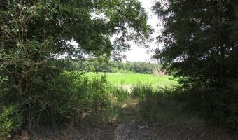 Eudon Best Rd, Ashford, AL 36312