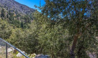6377 Sugar Pines Cir, Angelus Oaks, CA 92305