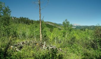 1833 W Buttermilk Rd, Aspen, CO 81611