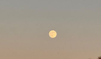 1187 Alligator Dr, Alligator Point, FL 32346