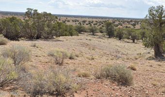 138 Jeff Lake Rd (CR N9230), Concho, AZ 85924