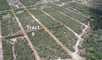 179 County Road 1461 Lot 9, Alice, TX 78332