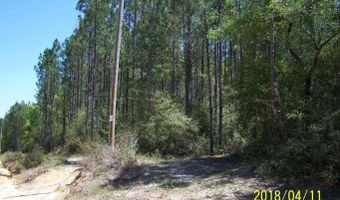 Noland Pond Road, Alford, FL 32420
