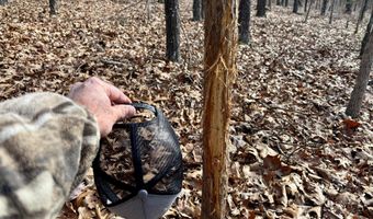 Farm Rd 1187 Lc, Ash Grove, MO 65604