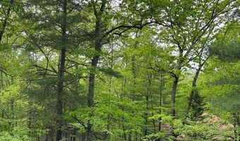 119 ELLIS Rd, Basye, VA 22810