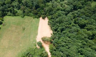 1717 County Road 1579, Baileyton, AL 35019