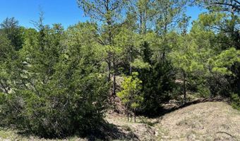 R13945 A0049 J Peterson Tract 11 Acres, Anderson, TX 77830