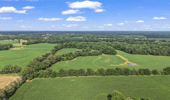 Old Jackson Road, Bells, TN 38006