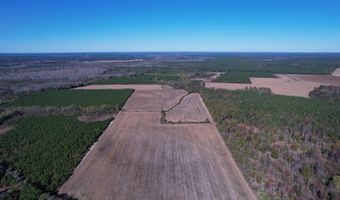 53 86 Acres-TBD Pate Rd, Bishopville, SC 29010