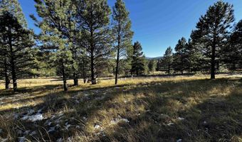 1290 Torrey Pines Ln, Angel Fire, NM 87710