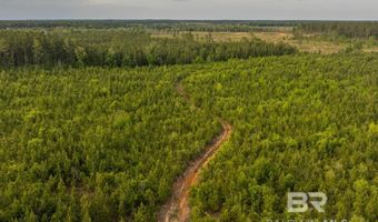 Flowers Road, Bay Minette, AL 36507