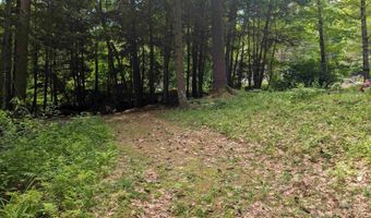 47 Green Acres Dr, Bristol, NH 03222