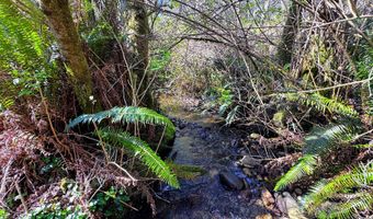 96510 MARTIN RANCH Rd, Brookings, OR 97415
